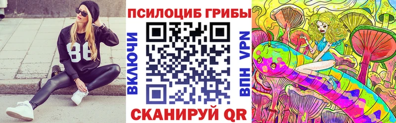 Псилоцибиновые грибы Psilocybe  магазин продажи наркотиков  Балтийск 