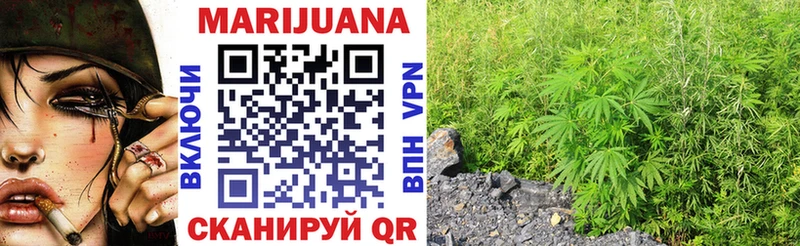 мега как зайти  Балтийск  Бошки марихуана THC 21%  продажа наркотиков 